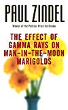 The Effects of Gamma Rays on Man-in-the-Moon Marigolds