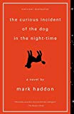 The Curious Incident of the Dog in the Night-Time