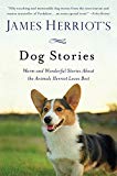 Dog Stories