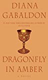 Dragonfly in Amber