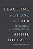 Teaching a Stone to Talk