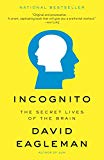 Incognito: The Secret Lives of the Brain