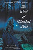 The Witch of Blackbird Pond